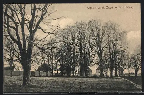 AK Asparn a. d. Zaya, Blick auf Schlosswiese