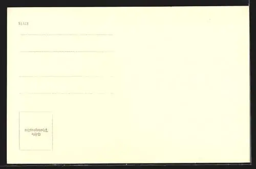 AK Braunau a. Inn, Strassenpartie