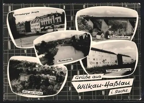 AK Wilkau-Hasslau i. Sachs., Sandberg-Siedlung, Autobahnbrücke, Muldenblick