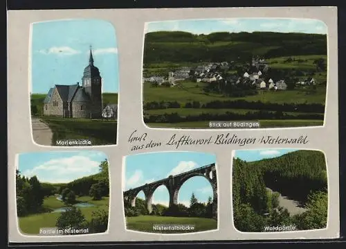 AK Büdingen / Westerwald, Marienkirche, Nistertalbrücke, Waldpartie