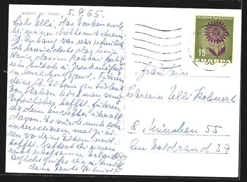 AK Borken /Bez. Kassel, Teilansicht mit Strassenpartie