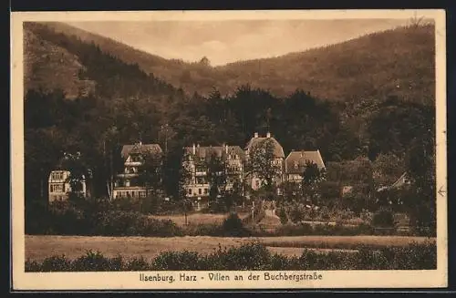 AK Ilsenburg, Villen an der Buchbergstrasse