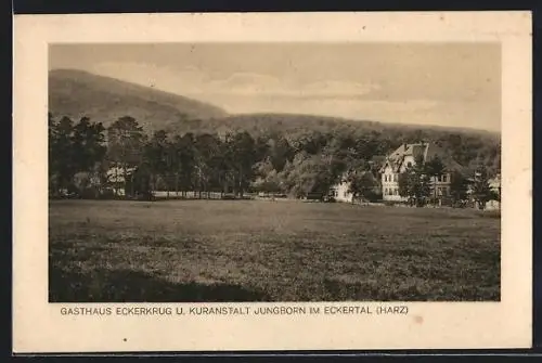 AK Bad Harzburg, Eckertal, Gasthaus Eckerkrug und Kuranstalt Jungborn