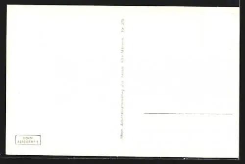 AK Bonn, Rheinpromenade und Brücke