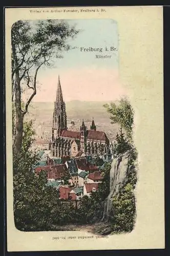 AK Freiburg i. Br., Münster