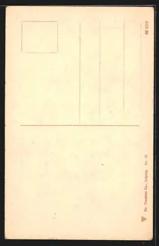 AK Stralsund, Marienkirche