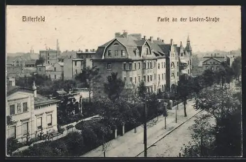 AK Bitterfeld, Partie an der Linden-Strasse mit Bäumen
