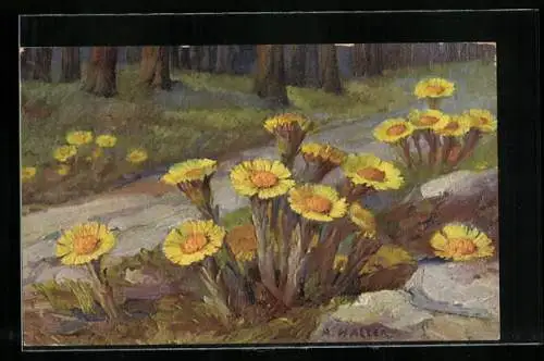 Künstler-AK Anna Haller: schön blühende Blumen zwischen Steinen am Waldweg