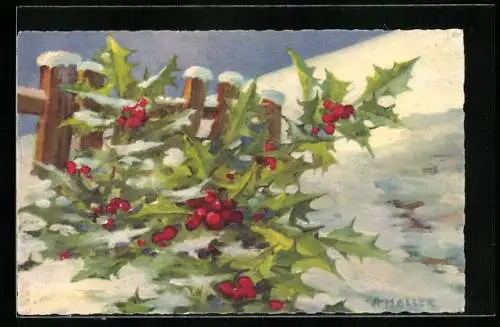 Künstler-AK Anna Haller: Stechpalme im Winterglanz