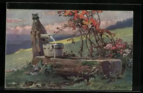 Künstler-AK Fritz Reiss: Schwarzwald-Quelle