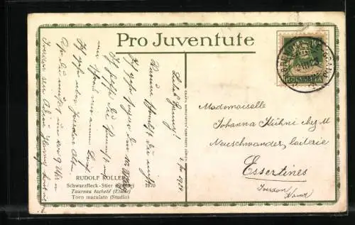 AK Pro Juventute, Schwarzfleck-Stier von Rudolf Koller