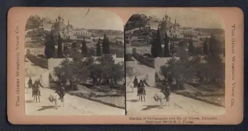 Stereo-Fotografie The Great Western View Co., Ansicht Jerusalem, Garden of Gethsemane and Mt. of Olives