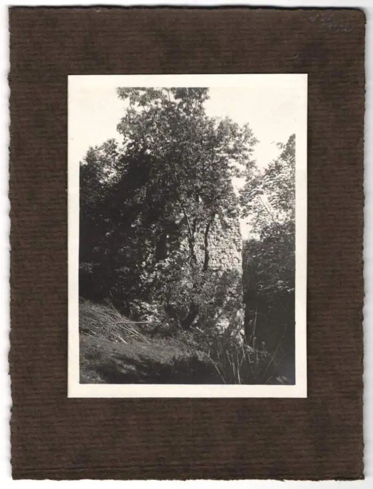 16 Fotografien unbekannter Fotograf, Ansicht Salzburg, Stadtansichten und Umgebung, GlaneggHohenstaufen u.a. 11