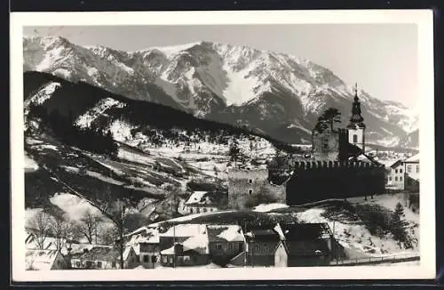 AK Puchberg /Schneeberg, Ortsansicht im Winter