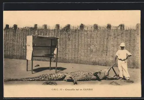 AK Gambia, Crocodile tuè en Gambie