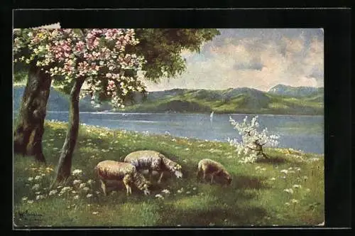 Künstler-AK Alfred Schönian: grasende Schafe am Seeufer