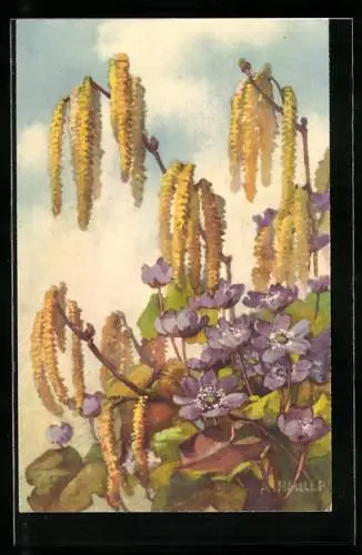 Künstler-AK A.Haller: ein blühender Strauch, Blumen