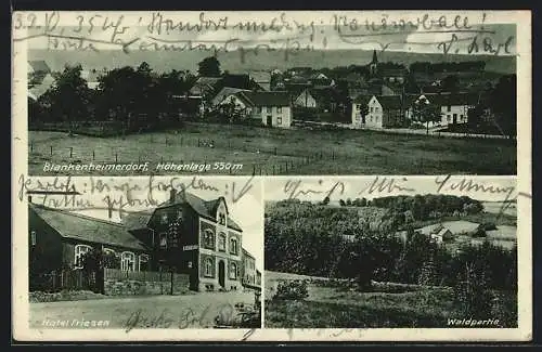 AK Blankenheimerdorf, Hotel Friesen, Waldpartie, Gesamtansicht