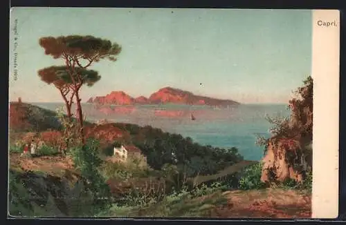 Künstler-AK Capri, kleines Haus mit Wald und Meer