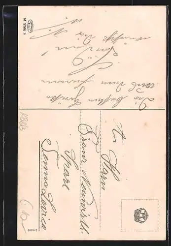 AK Franzenshöhe, Ansicht mit Stilfserjochstrasse und Madatschspitze