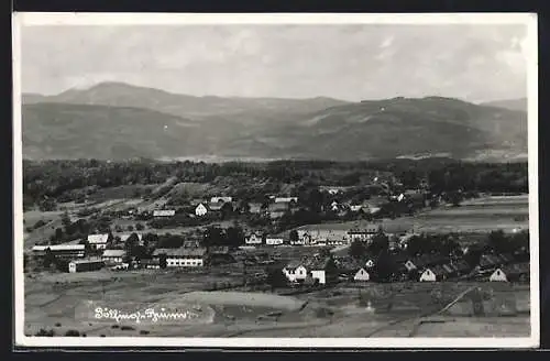 AK Pölfing-Brunn, Blick in den Ort