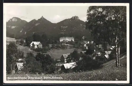 AK Dittersbach /Böhm. Schweiz., Ortsansicht im Sommer
