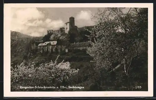 AK Schreckenstein a. Elbe /Sudetengau, An der Burgruine