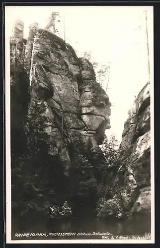 AK Wilde Klamm am Fuchsstein /Böhm. Schweiz, Ruderboot auf dem Wasser