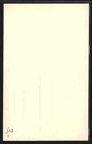 AK Wilde Klamm am Fuchsstein /Böhm. Schweiz, Ruderboot auf dem Wasser