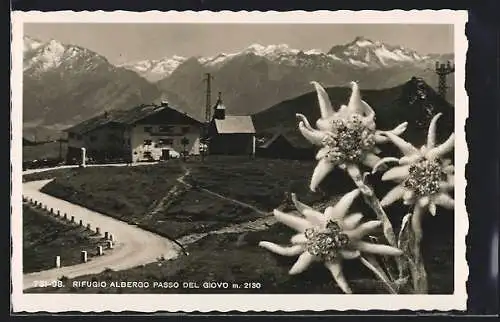 AK Rifugio Albergo Passo del Giovo, Berghütte mit Strasse und Gipfelpanorama