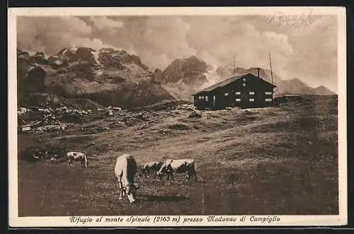 AK Rifugio al monte Spinale, Rifugio presso Madonna di Campiglio