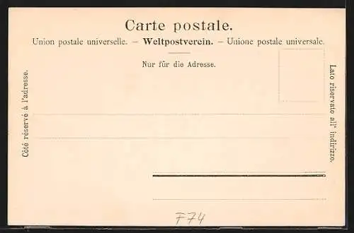 AK Chamonix, vue générale et le Mont Blanc