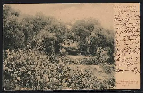 AK Ajaccio, La Grotte Napoléon