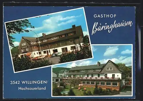 AK Willingen /Hochsauerland, Gasthof Bäringhausen, Garten