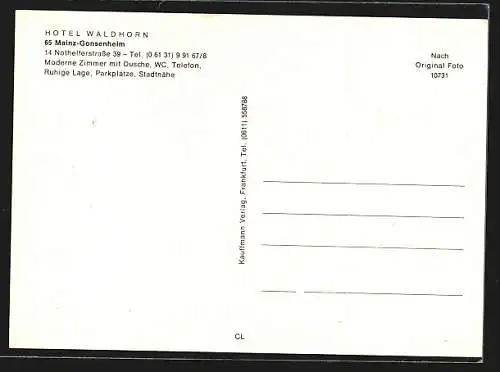 AK Mainz-Gonsenheim, Hotel Waldhorn, Nothelferstrasse 39, Innenansichten