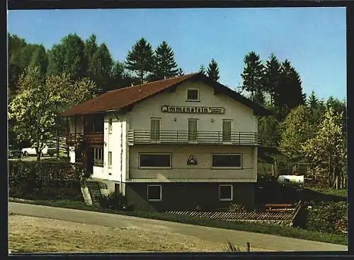 AK Bühl-Neusatz im Schwarzwald, Gasthaus-Pension Immenstein Franz Langenbacher