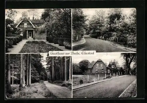 AK Ehestorf /Harburg, Gasthaus zur Buche P. Schaar, Strassenpartien