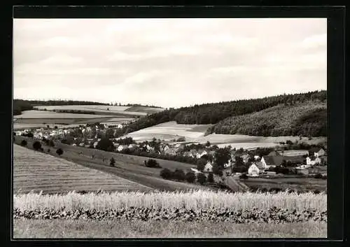 AK Richelsdorf /Bebra, Gesamtansicht mit Umgebung