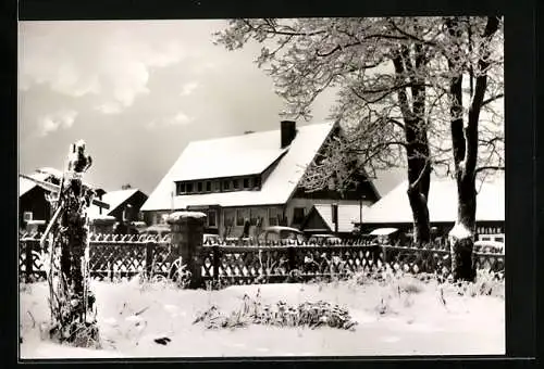 AK Torfhaus / Harz, Hotel Berghof W. Hildebrandt im Winter