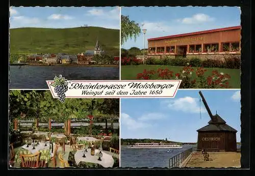 AK Oestrich / Rheingau, Gasthaus Molsberger`s Rheinterrasse und Weinstube