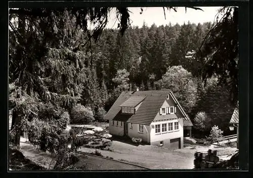 AK Altensteig /Schwarzw., Gasthaus Kohlmühle aus der Vogelschau