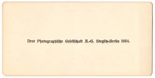 Stereo-Fotografie NPG, Berlin, Ansicht Rom, Ponte di Fabricio