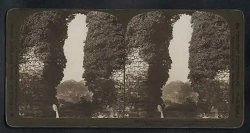 Stereo-Fotografie H. C. White Co., New York, Ansicht Königswinter, Blick durch den Rolandsbogen zum Drachenfels