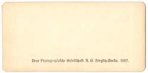 Stereo-Fotografie NPG, Berlin, Ansicht Meran, Blick nach dem Schloss Lebenberg