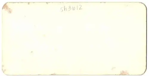 Stereo-Fotografie Atlas View Co., Chicago, Ansicht Dawson, Goldarbeiter am Bonaza Creek im Klondike, Goldgräber