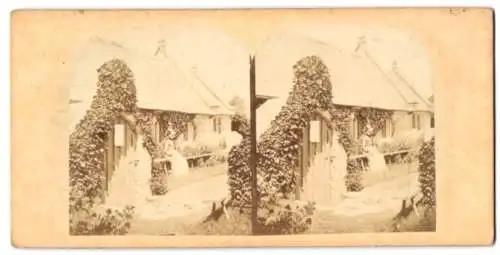 Stereo-Fotografie unbekannter Fotograf, Ansicht St. Lawrence / IOW, the old St. Lawrence`s Chruch on the Isle of Wight