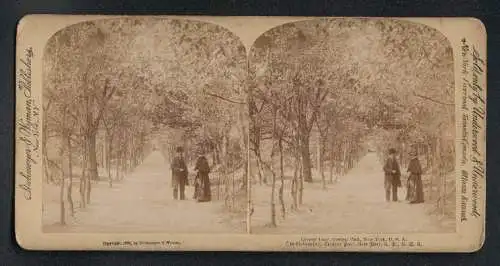 Stereo-Fotografie Strohmeyer & Wyman, New York, Ansicht New York, Lovers Lane at Central Park