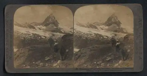 Stereo-Fotografie American Stereoscopic Co., New York, Ansicht Matterhorn, Blick nach dem Matterhorn mit Gletscher