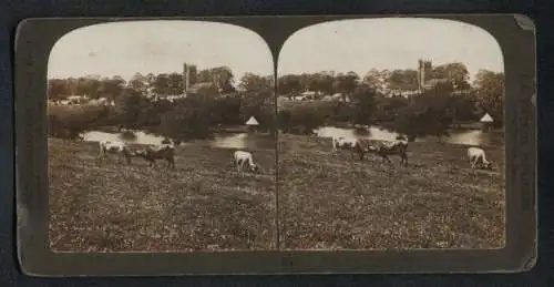 Stereo-Fotografie H. C. White Co., London, Ansicht Carisbrook / IOW, the beautiful village of Carisbrook