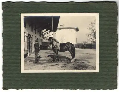 16 Fotografien unbekannter Fotograf, Ansicht Salzburg, Gestüt, Dult-Volksfest, Pferde f. Mailänder Ausstellung 1906